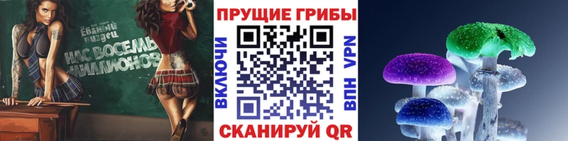 Галлюциногенные грибы Cubensis  продажа наркотиков  Люберцы 